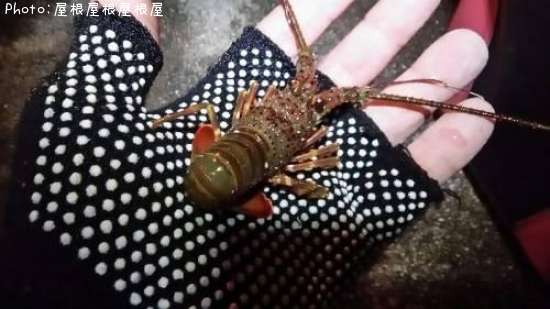 ��Τ������Ϸ�ʾС�