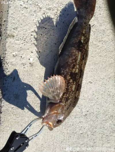 �����ʥ�