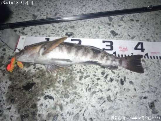 �����ʥ�