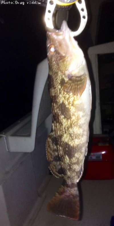 �����ʥ�