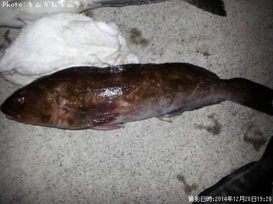 �����ʥ�