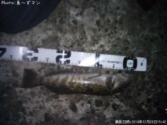 �����ʥ�