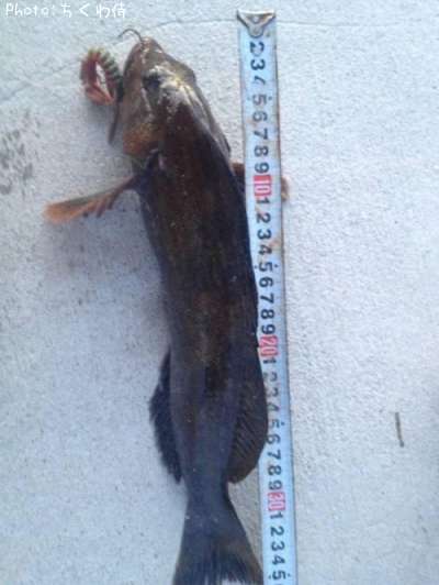 �����ʥ�