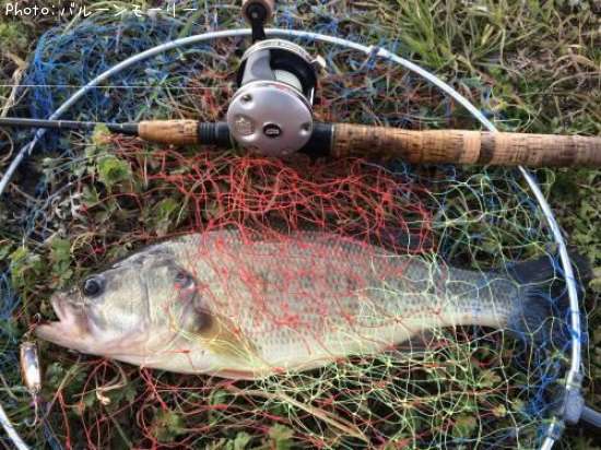 �֥�å��Х�