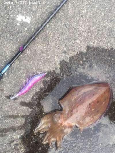 ���֥���