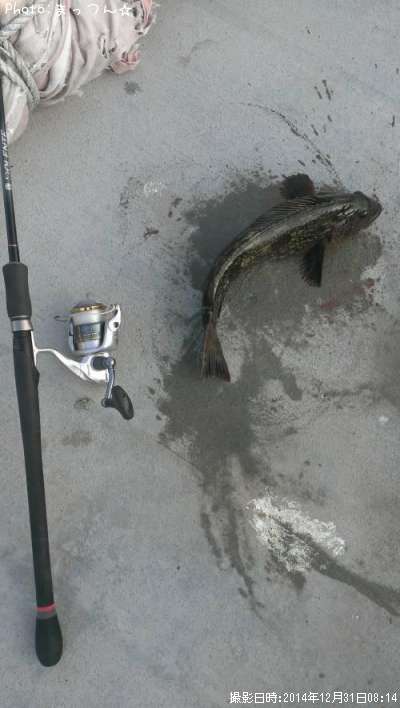 �����ʥ�