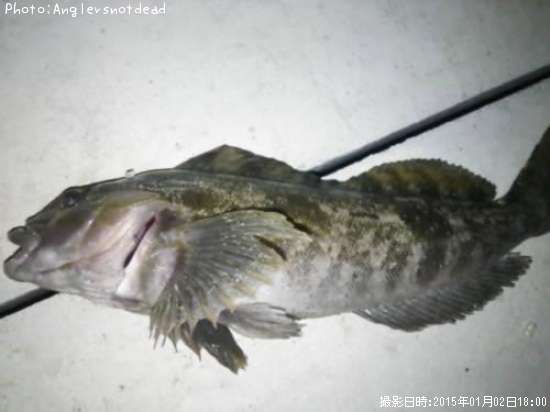 �����ʥ�