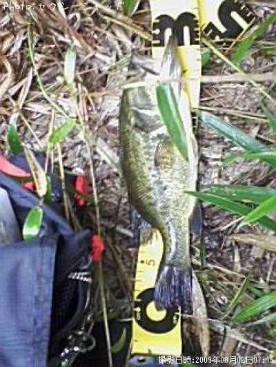 �֥�å��Х�