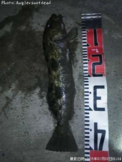 �����ʥ�