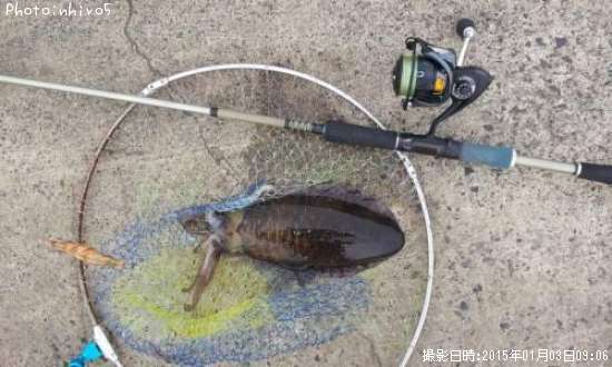 �����ꥤ��