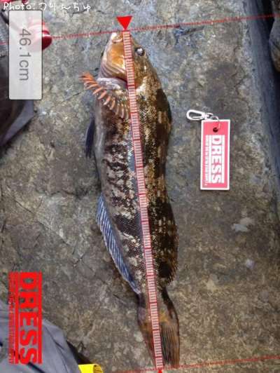 �����ʥ�