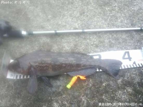 �����ʥ�