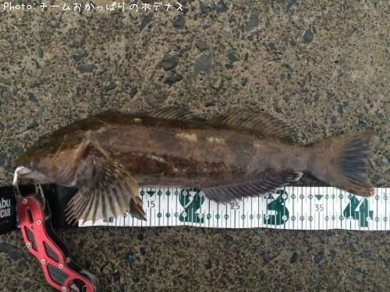 �����ʥ�