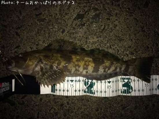 �����ʥ�