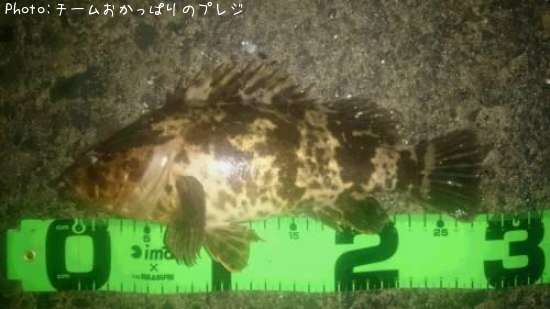 �����Υ���Х�