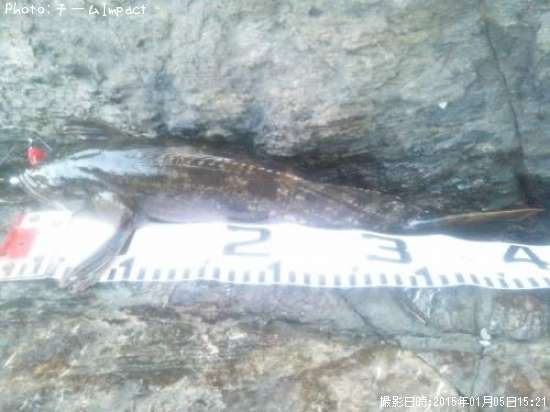 �����ʥ�