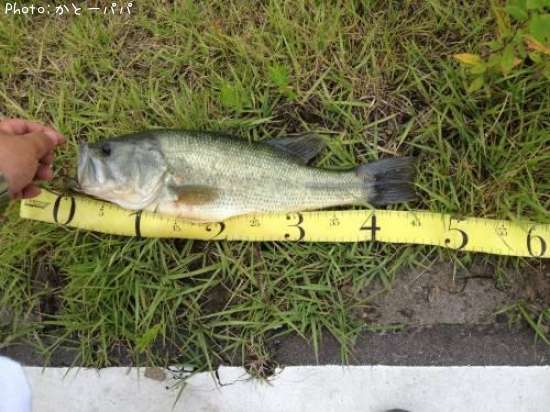 �֥�å��Х�