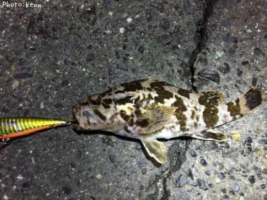 �����Υ���Х�