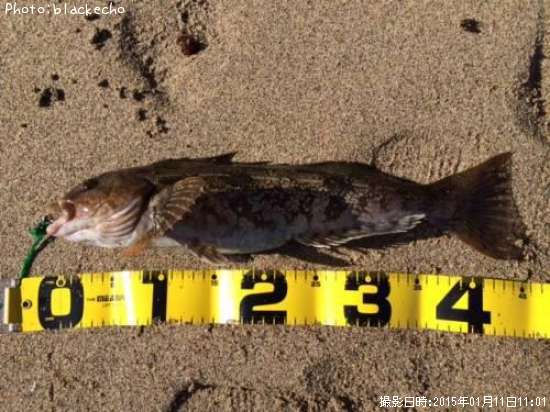 �����ʥ�