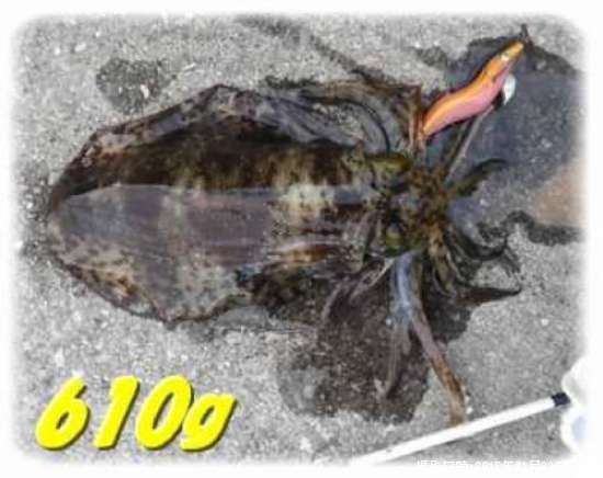 �����ꥤ��