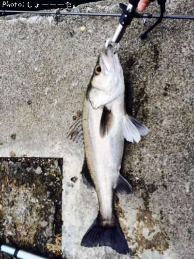 �����Х�