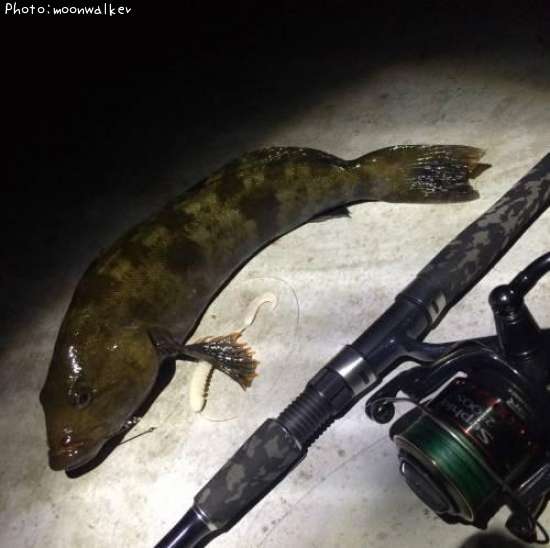 �����ʥ�