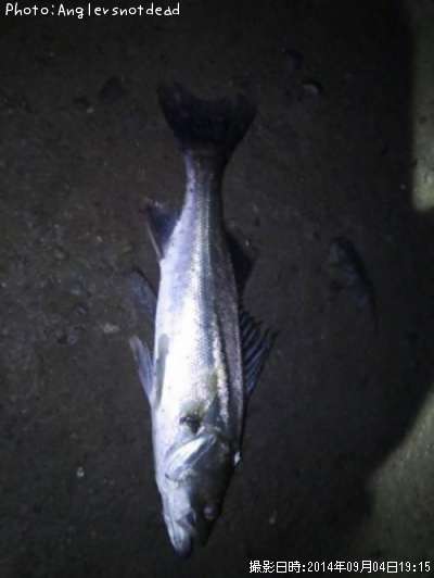 �����Х�