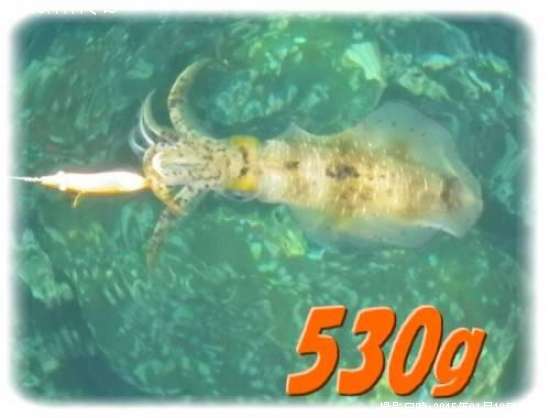 �����ꥤ��