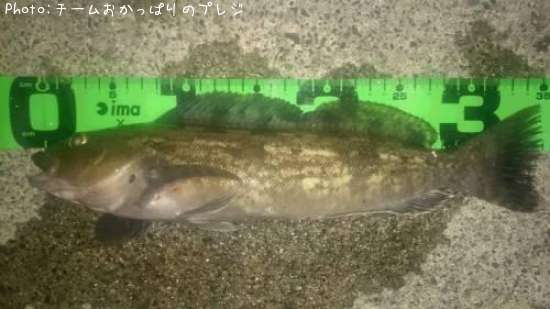 �����ʥ�