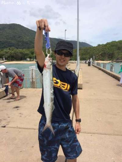 ��Υ�����