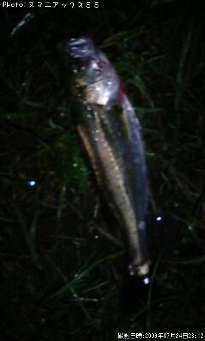 �����Х�