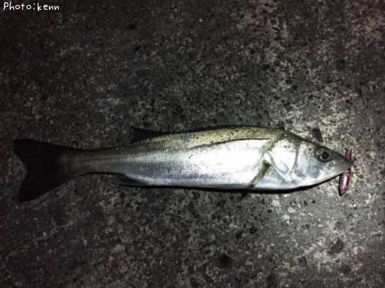 �����Х�