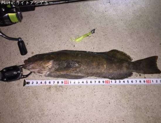 �����ʥ�