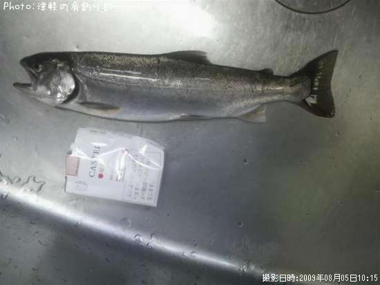 ������ޥ�