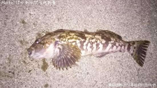 �����ʥ�