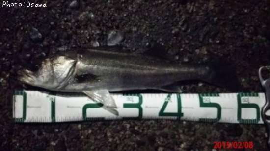 �����Х�