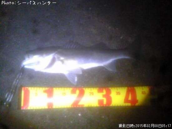 �����Х�