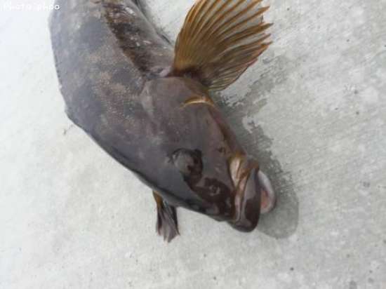 �����ʥ�