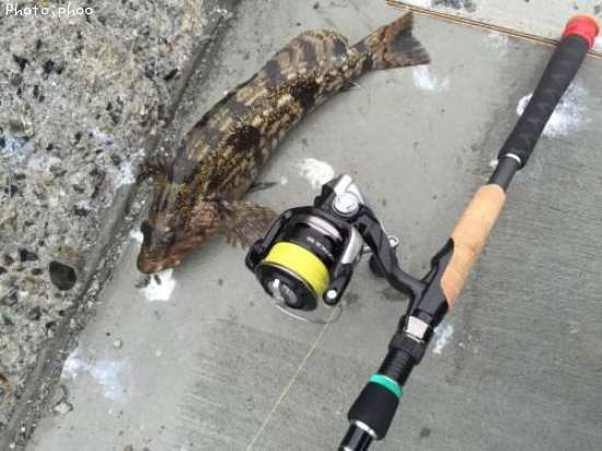 �����ʥ�