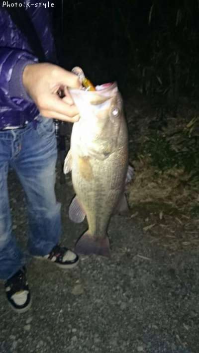 �֥�å��Х���