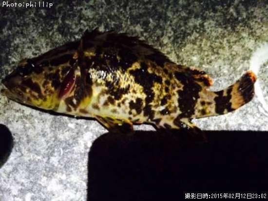 �����Υ���Х�