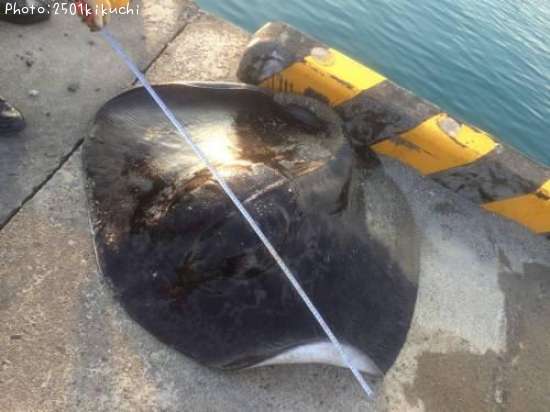 �ޥ��饨��