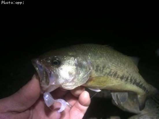 �֥�å��Х�