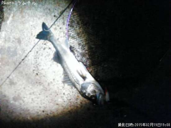 �����Х�