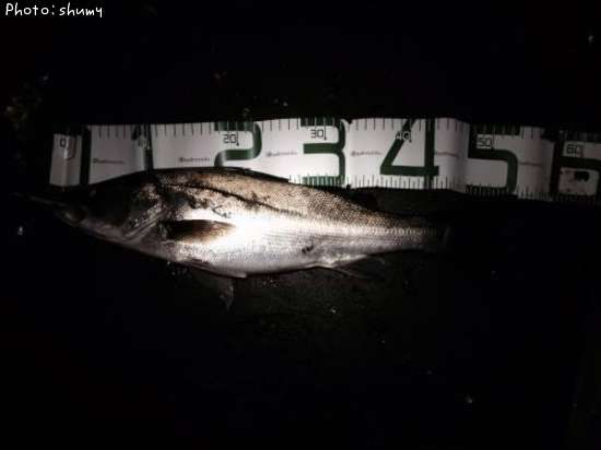 �����Х�