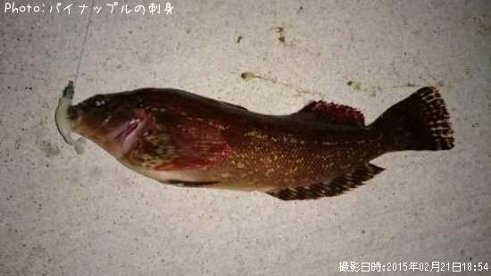 �����ʥ�