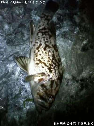 �٥å�������