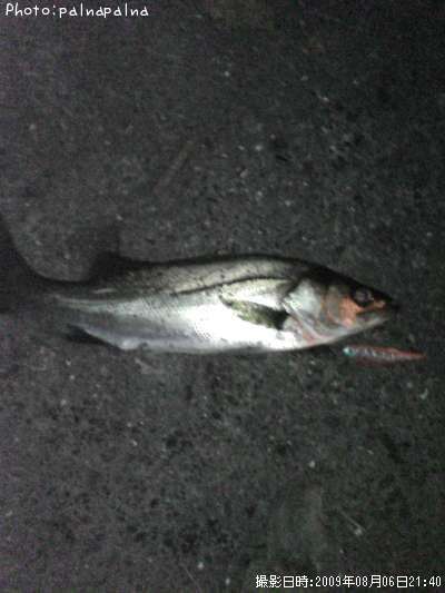 �����Х�