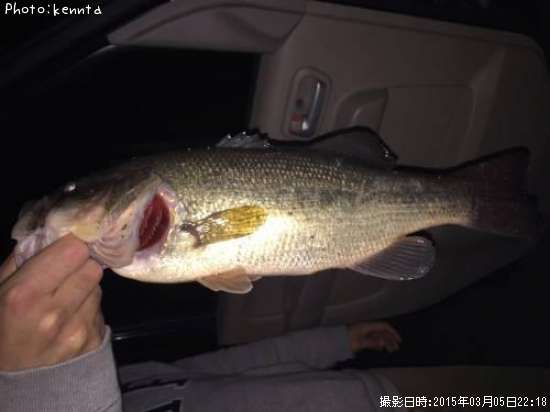 �֥�å��Х�