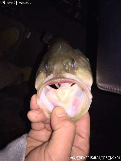 �֥�å��Х�